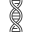 image of DNA